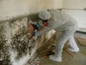 [BẬT MÍ] Cách chống thấm tường nhà cũ Triệt để 100% khi nhà xuống cấp
